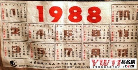 1988年辰年|1988年是什么年：土龙之人的性格特点与命运解析